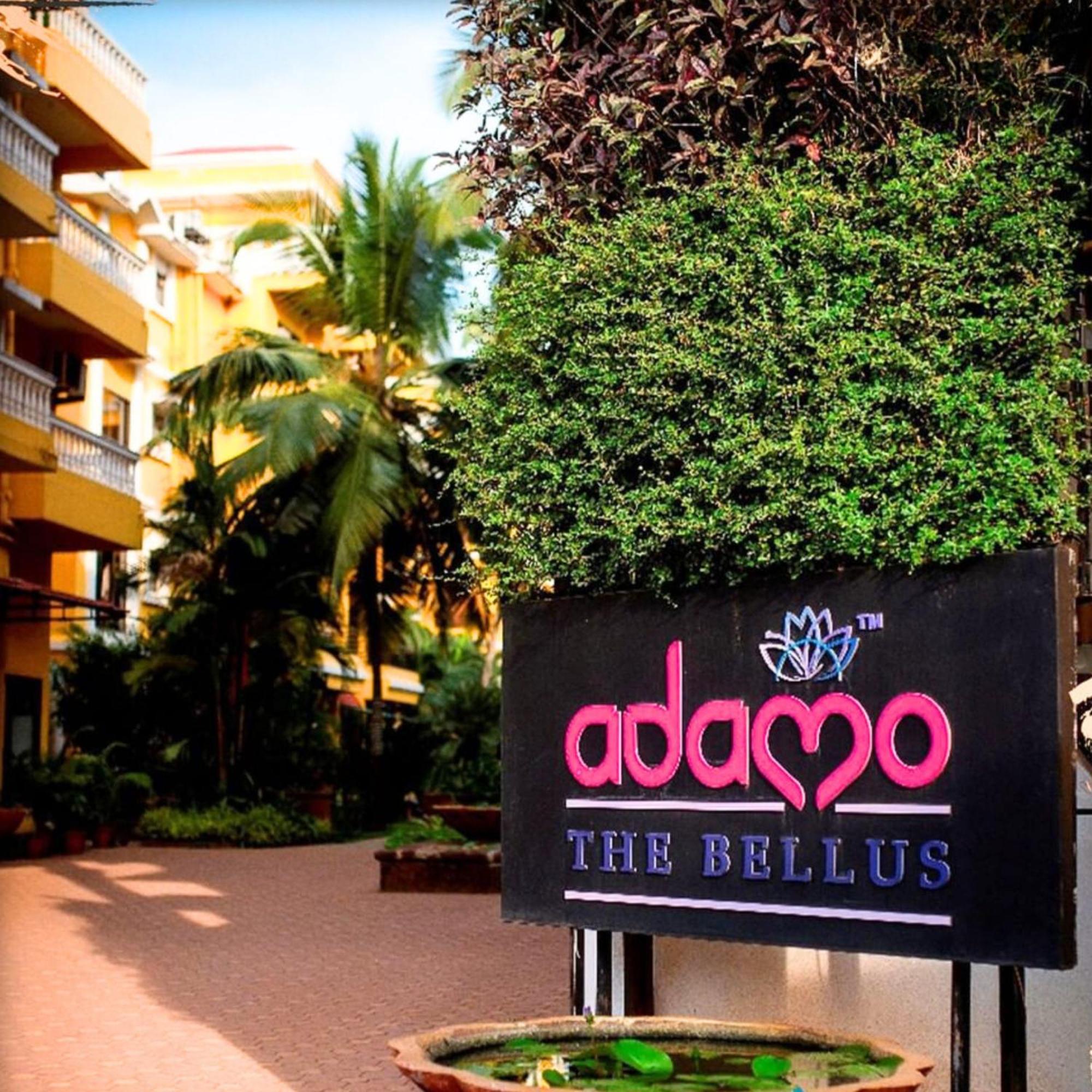 מלון קלנגוטה Adamo The Bellus מראה חיצוני תמונה